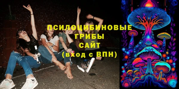 соль ск Надым
