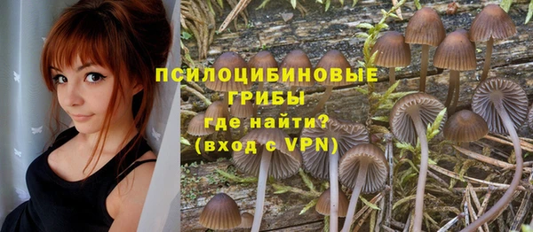 прущие крисы Наволоки