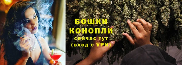 соль ск Надым