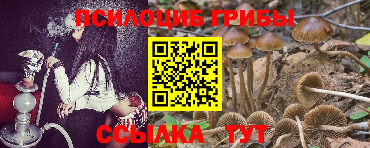 Псилоцибиновые грибы MAGIC MUSHROOMS Самара