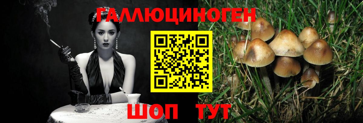 Псилоцибиновые грибы GOLDEN TEACHER  Галлюциногенные грибы Psilocybine cubensis  Вход с VPN  купить закладку  Самара 